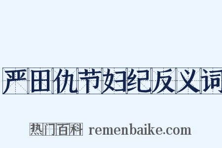 严田仇节妇纪反义词是什么意思的图片